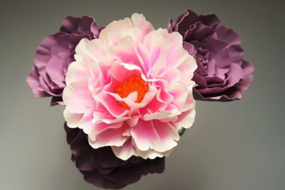 Shrub Rose Paper Flower Templates Review: Real Project Insights